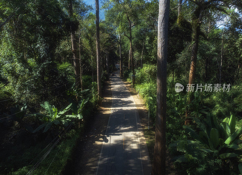 在一个明亮的日子里，在秋天的森林中有笔直的道路的Doi Luang Chiang Dao山的空中景观。